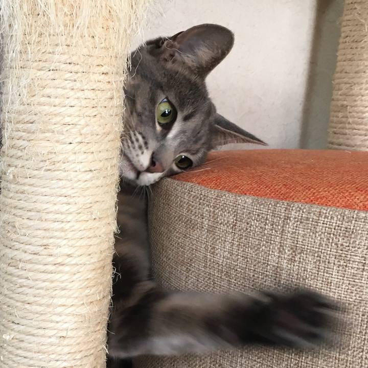 17a75902 95ea 49c7 aa11 c01750572a1c