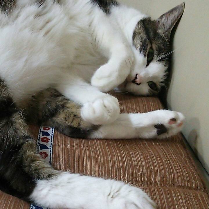 17a87a0d a4ab 4663 a51b b8bf2a8de011