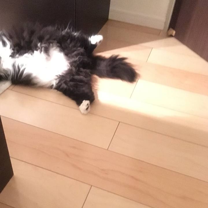 17a8f14c 988e 4e38 984b d3603252b969