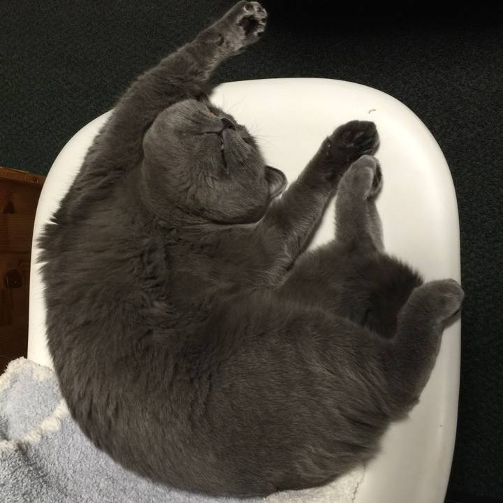 17a95584 119f 4f63 9634 cfed850d86d9