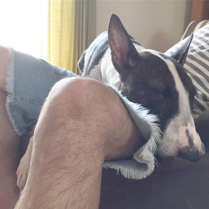 17aa56c4 d484 4ef0 a5c3 014beae8f57f