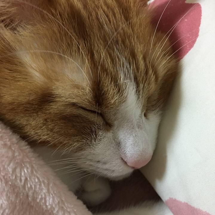 17ab49fc 9ae5 475c 8b49 2e841a15ce06