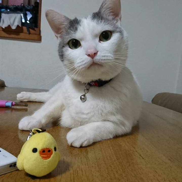 17abab53 b01a 4e48 aea4 c7dc03d037e0