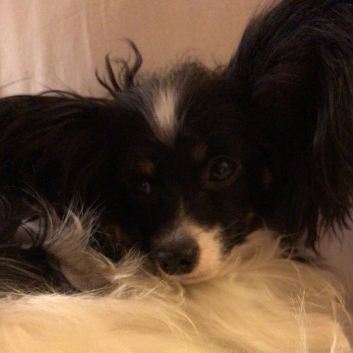 17abf0ff 1b9c 4f0c be15 e5f82eb39666