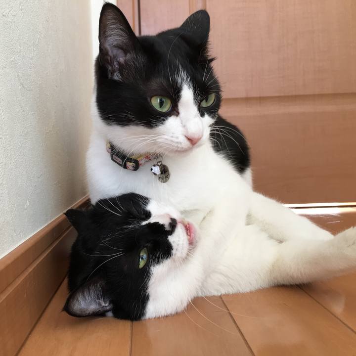 17ac0178 99b9 4ac8 bffa 2b473aff7921