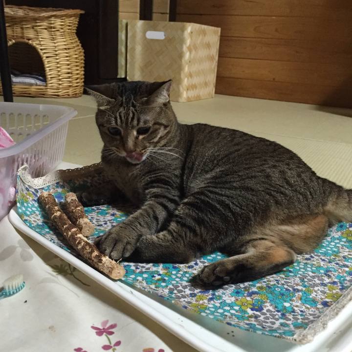 17ac1bb5 e81f 4cc5 ac34 66817c1b2c56