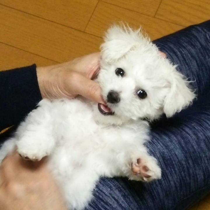 17ac4009 f180 4930 87d7 fa9ad2dc8eb2