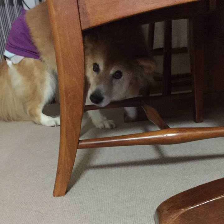 17ad1d98 66b3 4672 b864 4cd9d0dff8af