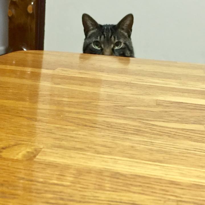 17ad7d12 a3ad 4782 a344 3ec720b48b97