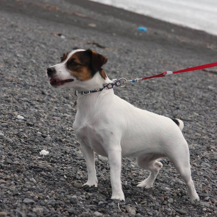 17ae5215 ce1c 4f0b 885f 5a8f942c5d3f