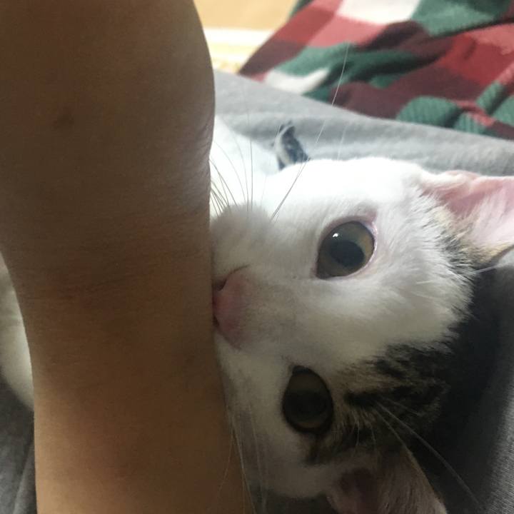 17ae9b1e 3118 4099 bd1d c70b19ff025d