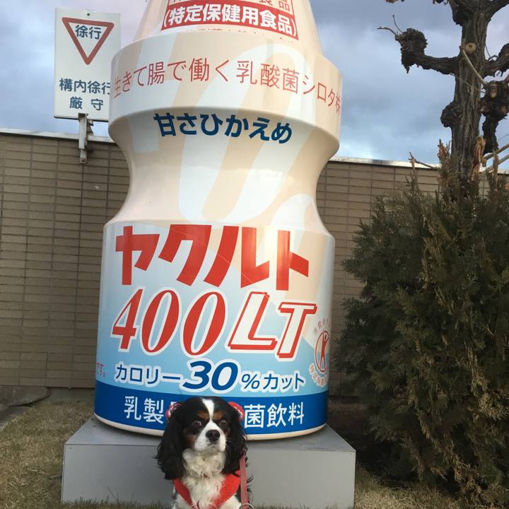 17af11ed f7e4 444b b058 df486044f864