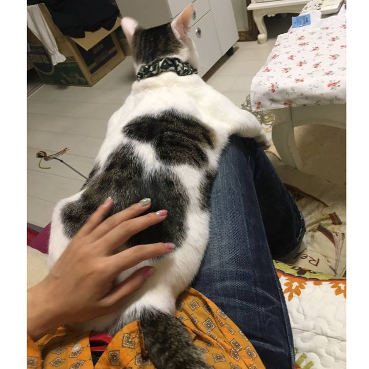 17af53ed e3b2 4f68 afe2 b1bf551823b1