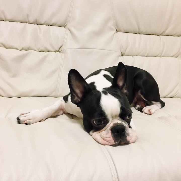 17af5443 02a2 4f6e 86ce 43fe621b4296