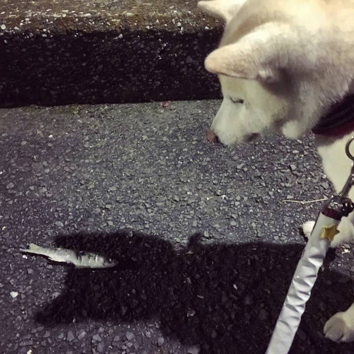 17af5d62 30c3 480b 8bd4 a549edb2a987