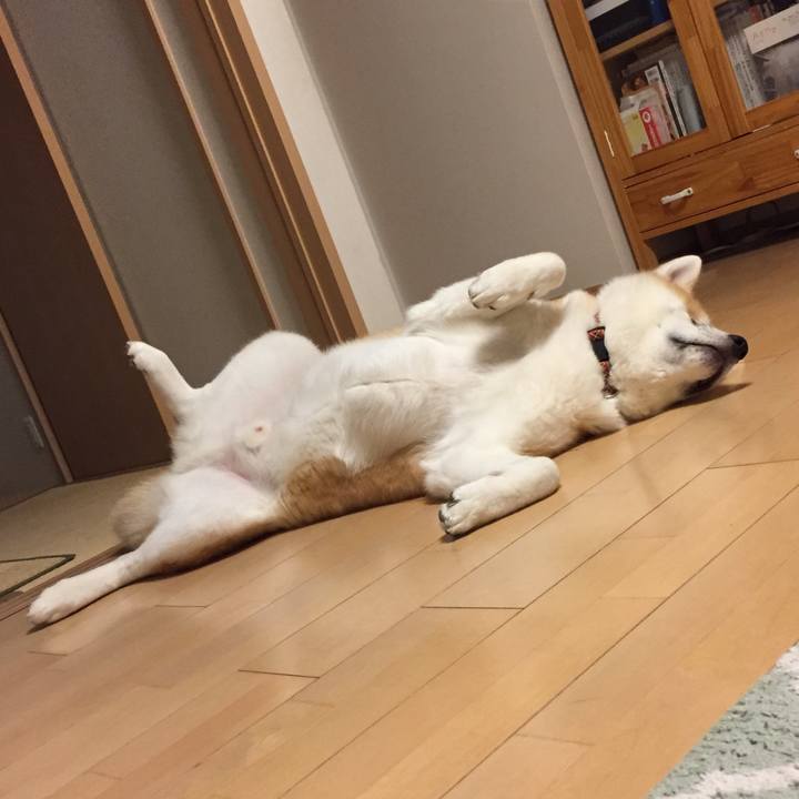 17af7d99 f943 4e50 99e4 2a6dfb60e27b