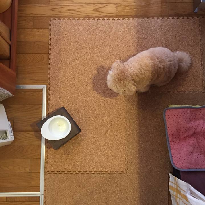 17af7e93 4a27 4082 96fe 6206491afe63