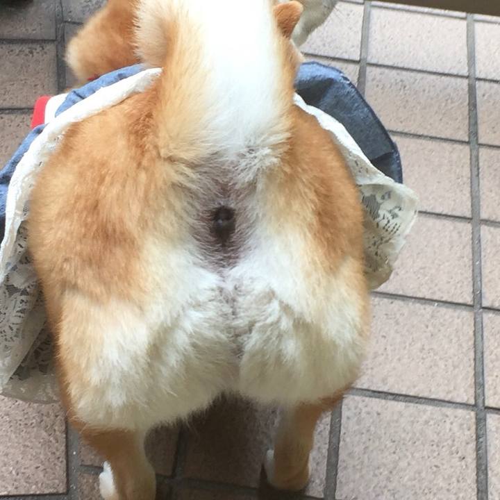 17afa815 57f1 4658 bf73 8f23232390be