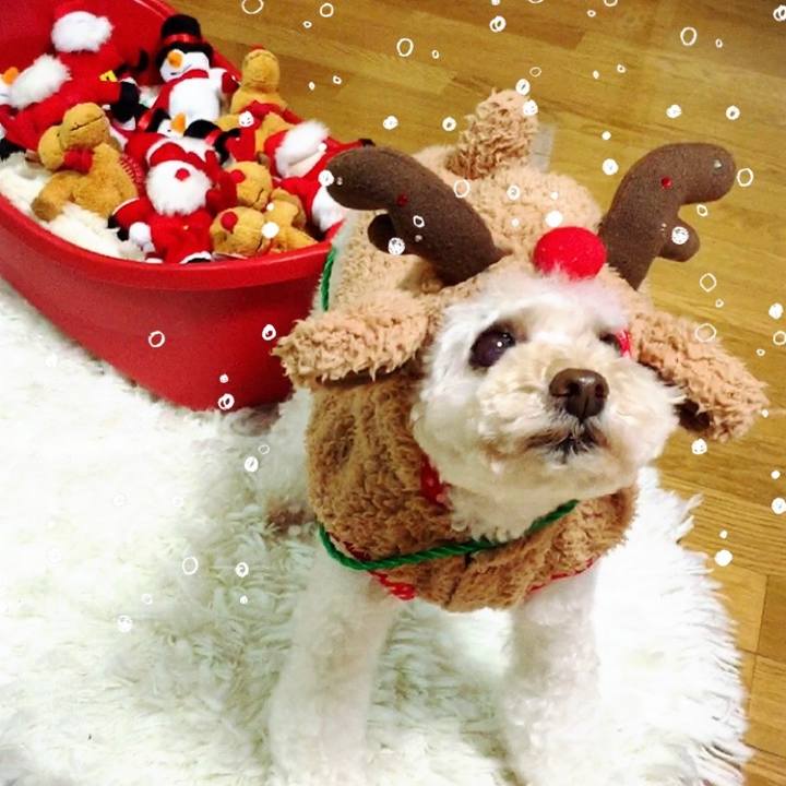 17afafe8 8b9d 435c ae24 203639e76374