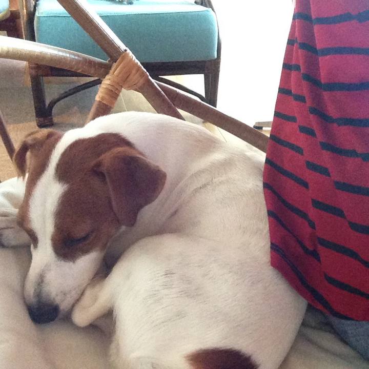 17b014b2 c63c 4e62 a79e 2e5f17b964f0