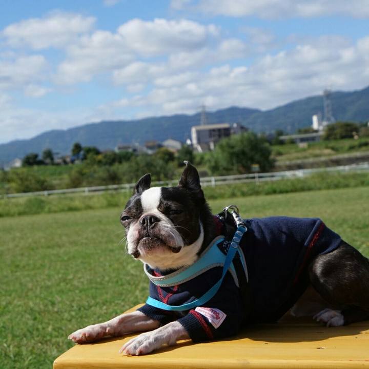 17b05a82 bff4 4131 921a 4863b279159d