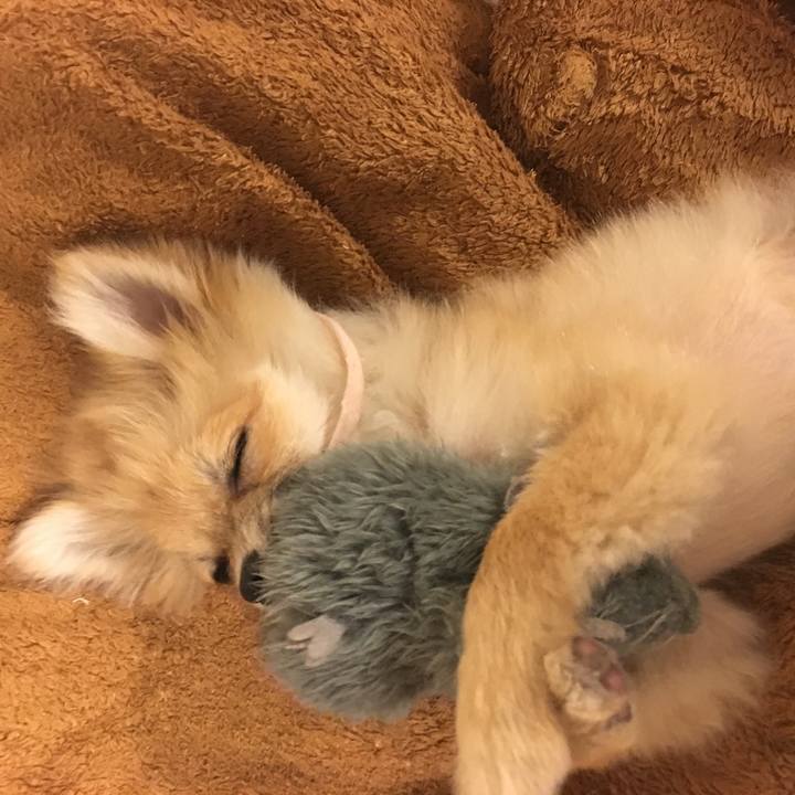 17b06311 4883 4dc2 a704 2eb486208edc