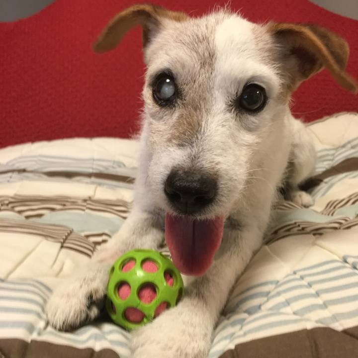 17b06a78 573b 4e15 bc77 f7225732232a