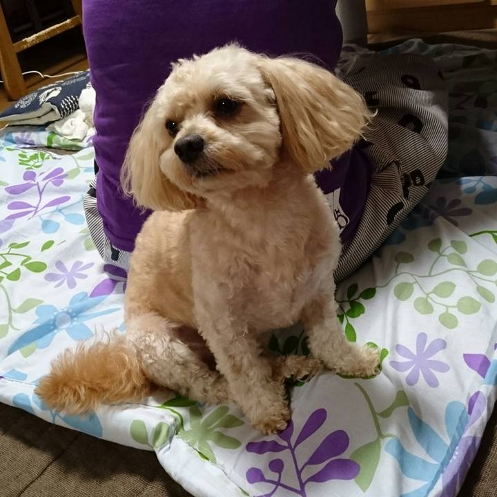 17b0ec2c e55f 45e5 b5fd 9a9be972354c