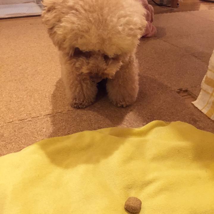 17b0f819 8f2d 479f b7e7 d060e8d38bbe