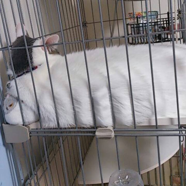 17b1f1db 2992 4c71 ab97 7fec3251aa04