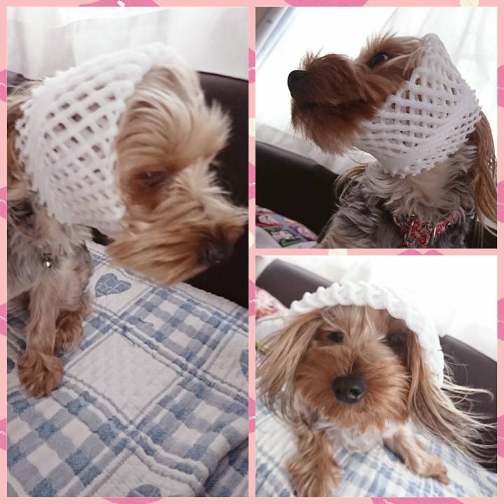 17b22adb 60b8 49bf 8b43 6f34f060c496