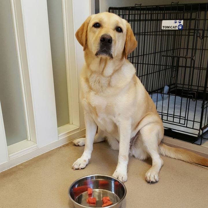 17b231da 1d7b 40a8 bc45 8de5d28a05b9