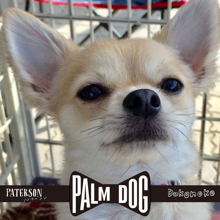 17b26b75 9080 497f b664 0cbc69ab8e24