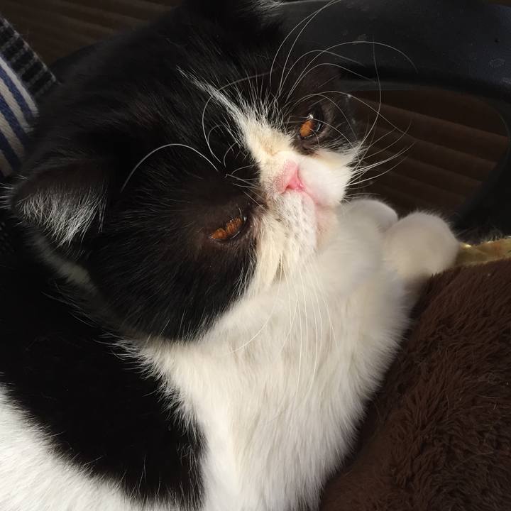 17b2af5b fae8 4456 9989 a56e4344d7a5