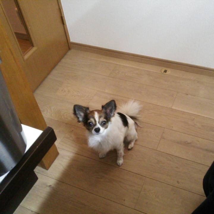 17b2bb07 2dc0 4ecf b8c3 d54ee9d569b5