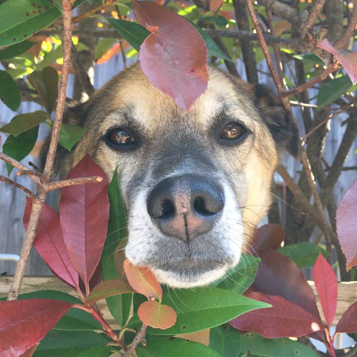 17b2f9b9 f808 471b 8b37 fecd339d5196