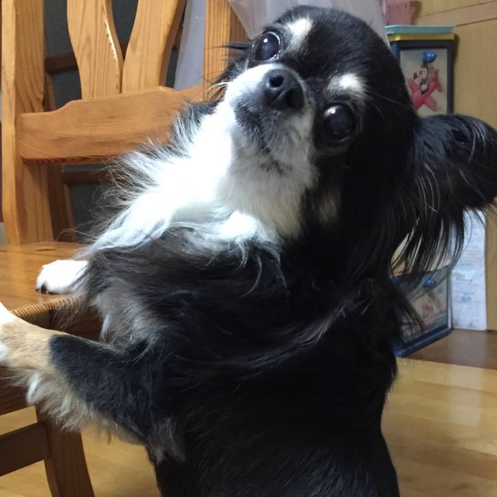 17b2fd4e 2e95 48a0 9fc9 e3dde7d88272