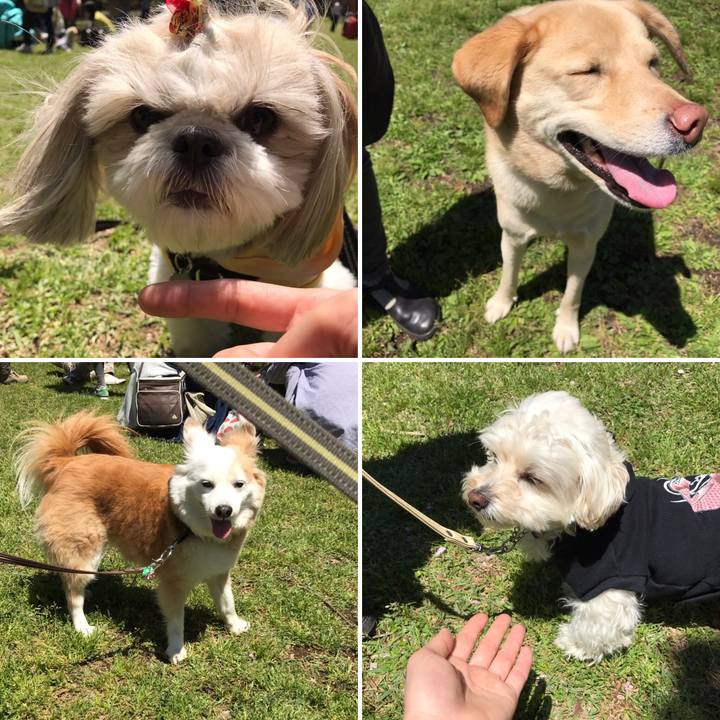 17b30af4 70aa 44d0 a5cc 6bfca7ba0bab