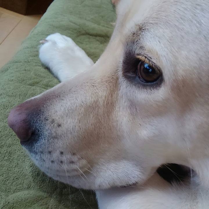 17b368ff 4fc2 4224 81dc 63b8db2bc543