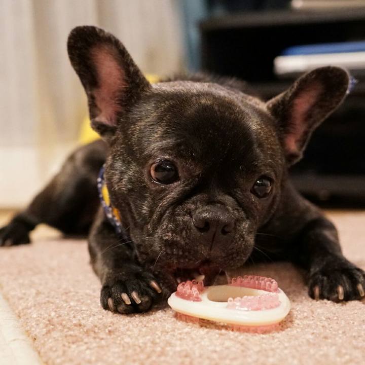 17b3aa03 6284 429e 9c49 b99a1fbadd60