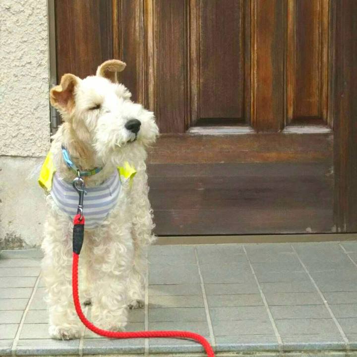 17b40754 e2c1 497d 9c86 6c5552933da3