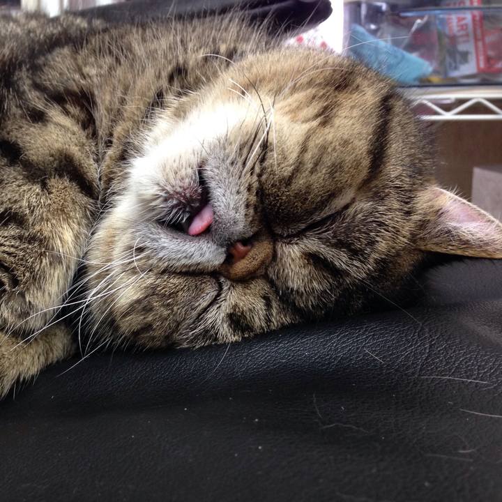 17b4098f 520e 4b3e 8716 bc75978de28e