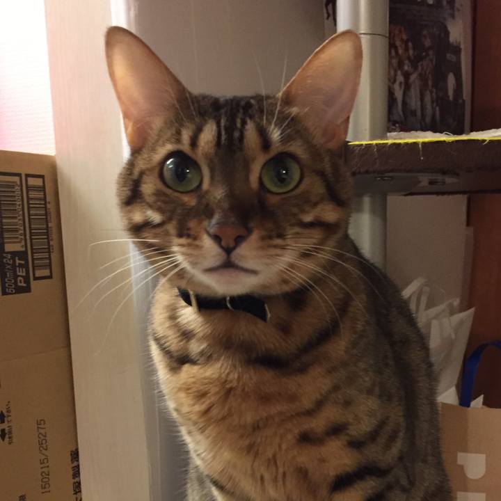 17b40c57 7af8 4714 89fc 5cbd5a3778fe