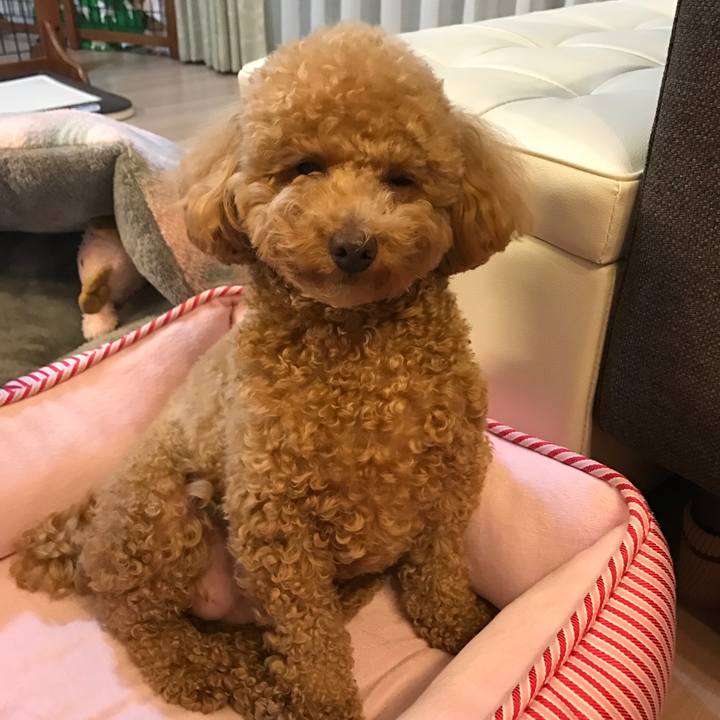 17b4c185 f86e 4347 ac79 a5d411277711