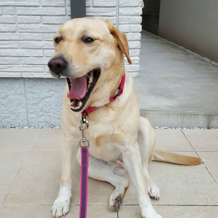 17b4e2ab 7ca0 43e2 94de c038e864a9f9