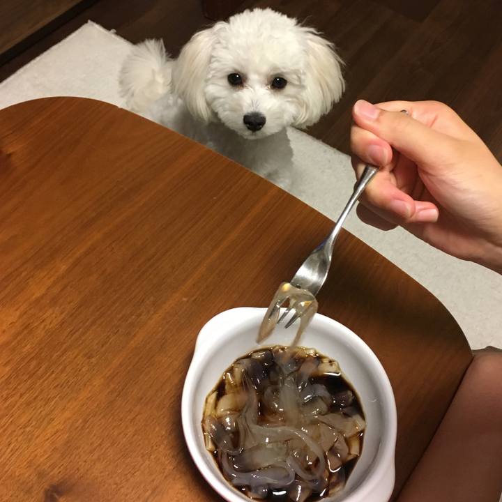 17b539e6 8185 4215 b9c7 114abc336c35