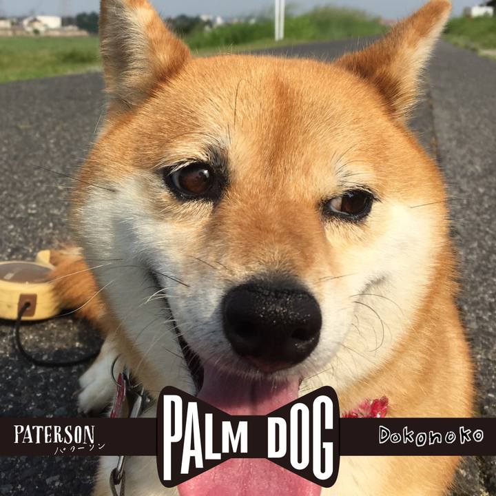 17b553c5 1ae6 493e 922c caa25b81ec5e