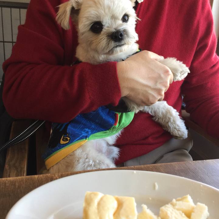 17b5661a ddc2 41b7 97e9 c3b8ddcfc943