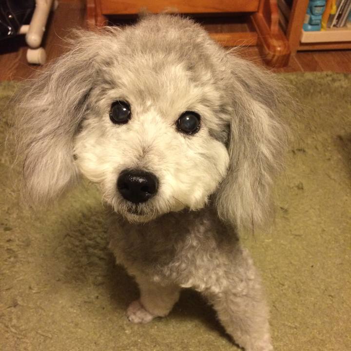 17b56c18 d075 4b09 874b 3baa8be5e8f2