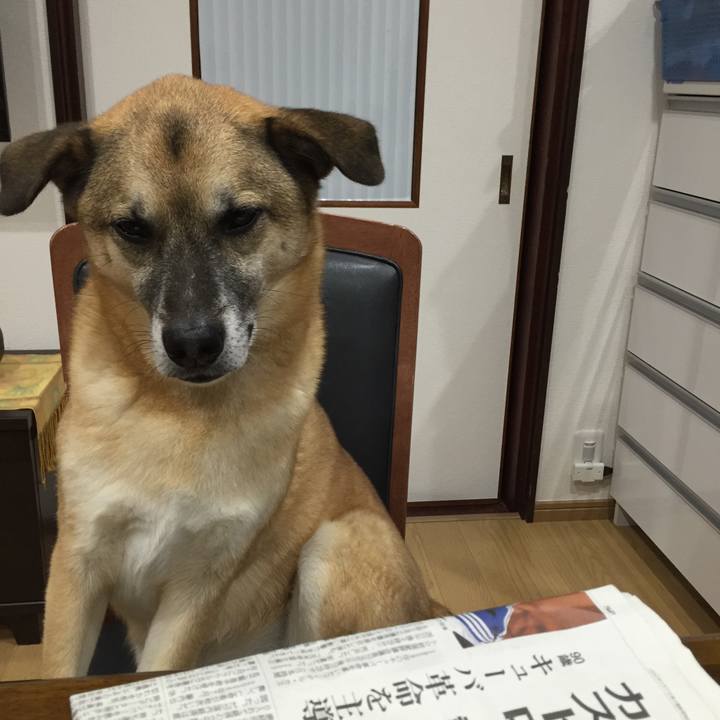 17b5e44f aea0 4eb9 b865 ff058c946bf6